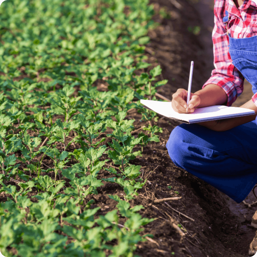specialized-ferti-Irrigation-consultancy