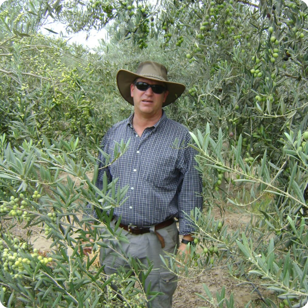 olive-groves-service-cover