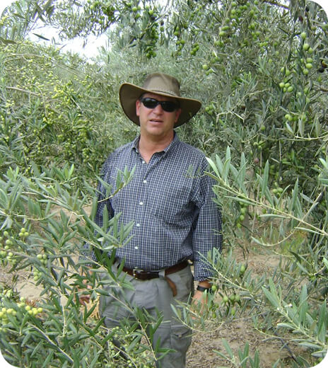 Consultancy for Olive Groves