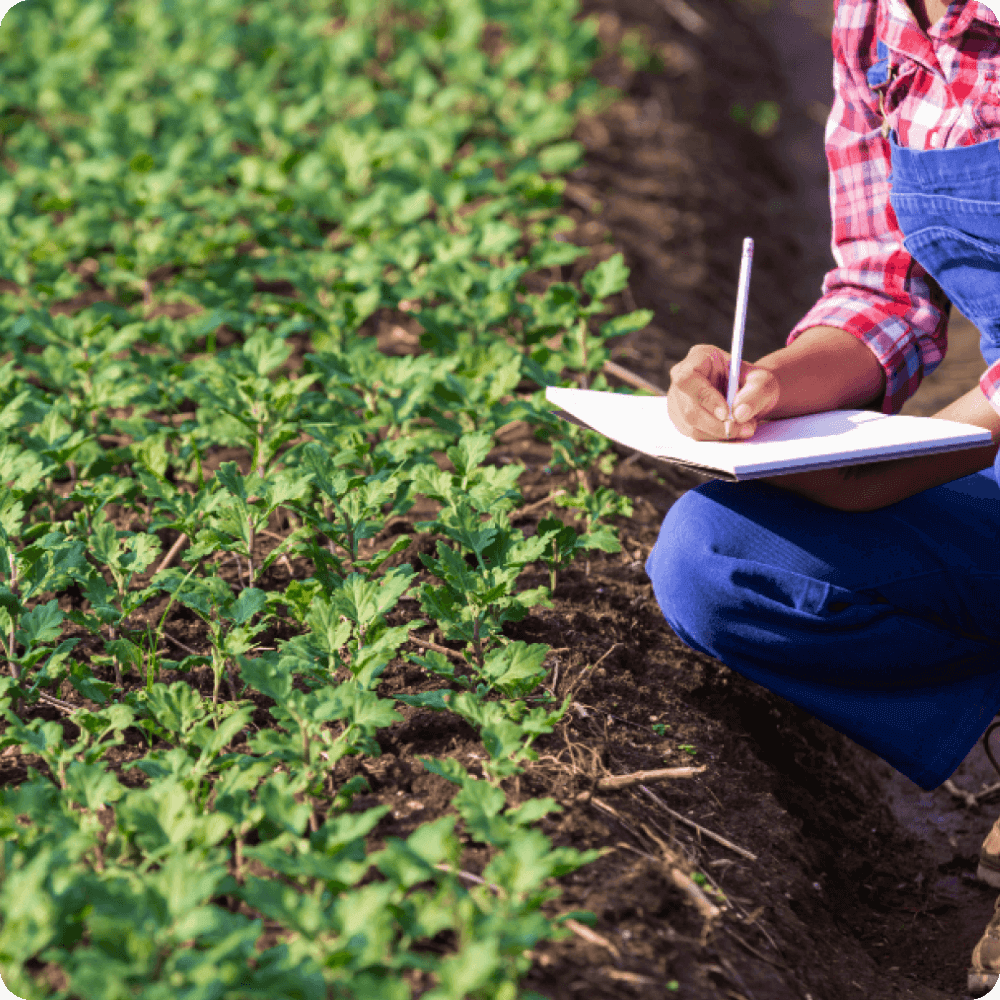 Specialized Crop & Ferti-Irrigation Consultancy 2