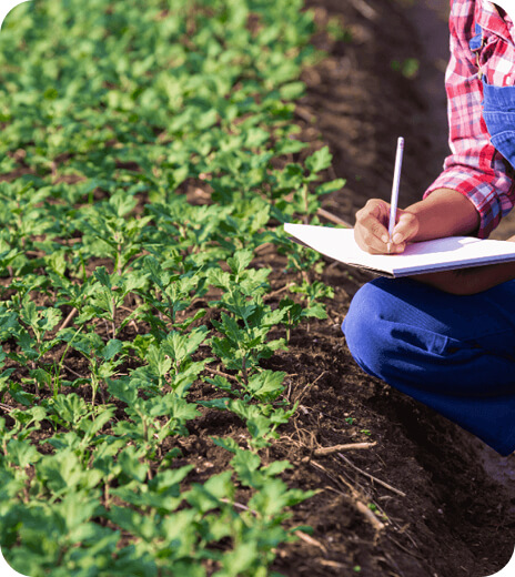 Specialized Crop & Ferti-Irrigation Consultancy